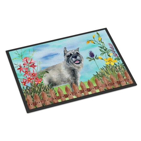 Carolines Treasures Schnauzer Spring Indoor or Outdoor Mat - 24 x 36 in. CK1224JMAT